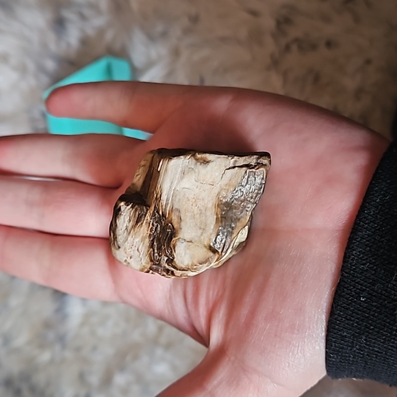 Petrified wood. Agatized. - Picture 3 of 3